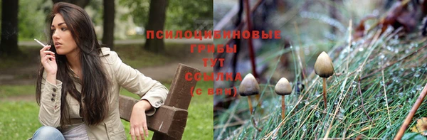 сатива Абаза