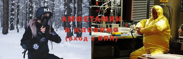 сатива Абаза