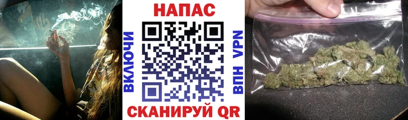 mega онион  где найти наркотики  Тюкалинск  МАРИХУАНА сатива 